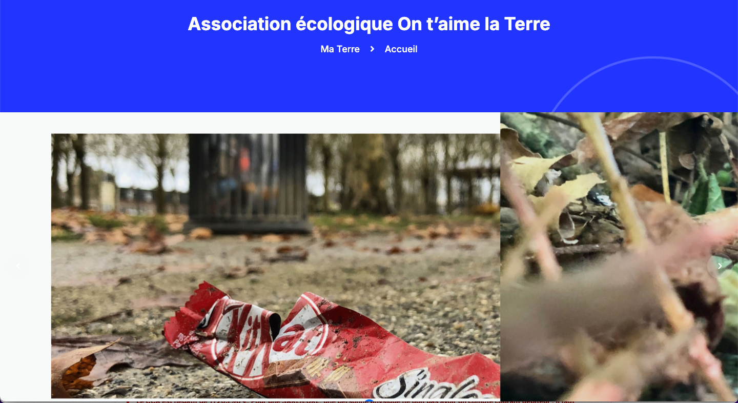 Capture du site On t Aime La Terre